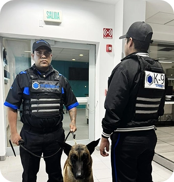 Guardias de Seguridad