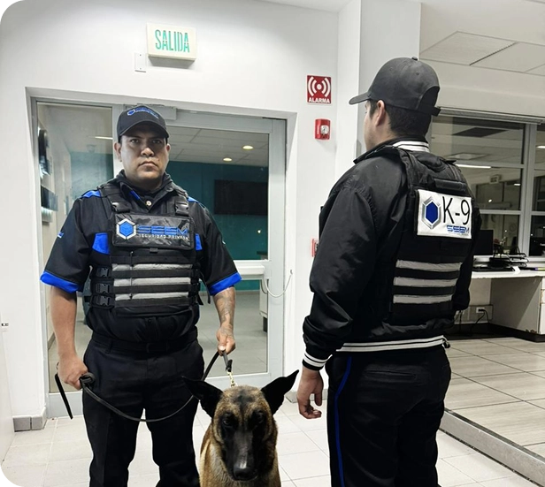Guardias de Seguridad